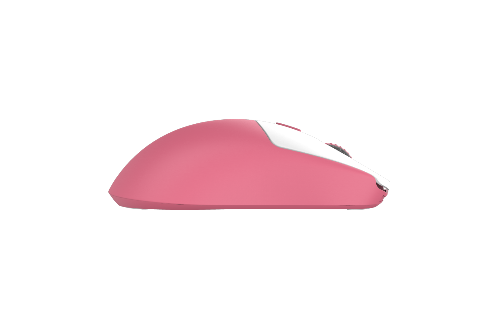 G-Wolves HTX 4K Wireless Gaming Mouse – 游狼 G-Wolves亚太区总代